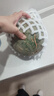 橙小士 海南網(wǎng)紋瓜 冰淇淋玫龍蜜瓜糯甜瓜海南新鮮水果熱帶年貨禮盒 5斤優(yōu)選【2-4個(gè)】?jī)艄?.5斤 曬單實(shí)拍圖