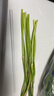 京地達(dá)山東新鮮蒜苔凈重2斤長約35cm+ 新鮮蔬菜 鮮嫩蒜苔 源頭直發(fā)包郵 曬單實(shí)拍圖