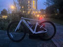 喜德盛公路自行車(chē)2025款AD300油碟UCI車(chē)架2x10速中空一體牙盤(pán)桶軸破風(fēng)車(chē) 白蛇 480mm 曬單實(shí)拍圖