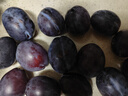 庾豐當季新鮮現摘脆紅李 新鮮水果整箱 孕婦脫骨青紅李子 團購送禮 5斤裝（凈果4.5斤）甄選果 顆顆甄選 產(chǎn)地直發(fā) 曬單實(shí)拍圖