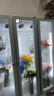 頂邦（DINGBANG) 鮮花保鮮柜 花店商用大容量風(fēng)冷鮮花保鮮冰箱冰柜冷柜冷藏柜水果飲料鮮花展示柜 【展示花墻款】三門風(fēng)冷黑色（送40桶可放40種花) 曬單實(shí)拍圖