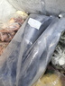 5斤青島鮮活大鲅魚新鮮馬鮫魚大整條冷凍海捕深海魚海鮮水產(chǎn)批發(fā) 曬單實拍圖
