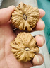 月印百川 核桃文玩白獅子古玩麻核桃手把件禮物約38-39mm+盤玩禮包 曬單實(shí)拍圖