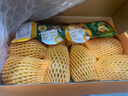 佳沛（zespri）新西蘭陽(yáng)光金果10個(gè)裝獼猴桃單果重約101-124g水果獼猴桃 曬單實(shí)拍圖