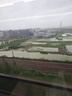 京東京造 Swiss Roll瑞士卷旅行枕 記憶棉飛機(jī)辦公室頸椎U型枕午睡枕 灰色 曬單實(shí)拍圖