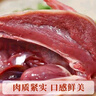 頤鄉情農家新鮮宰殺鴿子肉鴿子 生鮮鴿子乳鴿老鴿子 煲湯孕婦滋補鴿子湯 散養乳鴿3只(凈重7兩1只)+料包人參 曬單實(shí)拍圖