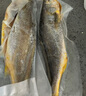GUO LIAN國(guó)聯(lián) 三去黃花魚(yú)2條 共凈重2斤國(guó)產(chǎn)寧德東海大黃魚(yú) 海鮮水產(chǎn)生鮮 曬單實(shí)拍圖