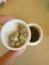 健康本鋪（HERB）DOKKAN 植物酵素片360粒香檳金加強版日本原裝進(jìn)口 曬單實(shí)拍圖
