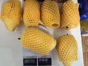 云南鷹嘴芒果 應季新鮮熱帶水果甜心芒整箱 鷹嘴芒3斤單果100-150g 曬單實(shí)拍圖