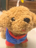 趣巢電動牽繩狗玩具狗毛絨仿真小狗唱歌兒童女孩玩偶公仔泰迪犬 曬單實(shí)拍圖