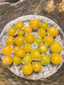 桃西村東北姑娘果【順豐可選】菇?jīng)龉S金莓燈籠果黃菇娘小金豆新鮮水果 1斤 精選果【單果7-9g】普快 曬單實(shí)拍圖