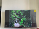 小米電視S55 Mini LED 55英寸 MiniLED308分區 4GB+64GB 1200nits 【小戶(hù)型推薦】L55MA-SPL 曬單實(shí)拍圖
