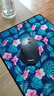 羅技（Logitech）M720 鼠標 無(wú)線(xiàn)藍牙鼠標 辦公鼠標 右手鼠標 大手鼠標 優(yōu)聯(lián) 黑色 帶無(wú)線(xiàn)2.4G接收器 曬單實(shí)拍圖