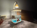 小魚(yú)缸面魚(yú)缸小型家用冰晶石創(chuàng  )意生態(tài)斗魚(yú)缸珍珠碎鉆景觀(guān)全套缸 送【全套DIY冰藍水晶玻璃石頭】小白推薦 曬單實(shí)拍圖
