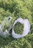 綠中城黑麥草種籽子種多年生牧草種子畜牧養(yǎng)殖草種雞鴨牛羊魚草種籽四季 多年生進(jìn)口紫花苜蓿/一斤廠家原裝 曬單實(shí)拍圖
