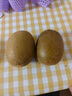 佳沛（zespri）新西蘭  陽光金奇異果10粒禮盒巨大果單果約144-175g 水果 獼猴桃 曬單實拍圖