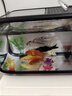 納鳴魚缸桌面生態(tài)缸小型水族箱帶蓋塑料透明一體成型家用客廳金魚缸 經(jīng)典黑-特大號/豪華輕奢款+增氧泵 曬單實(shí)拍圖