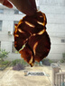 鮮京采 原切牛腱子 4斤 不含腱子芯  燉煮健身 京東自有品牌【真原切】 曬單實(shí)拍圖
