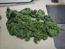 千牛優(yōu)福新鮮羽衣甘藍 嫩葉kale甘蘭健身榨汁蔬菜西餐食材蔬菜沙拉 1斤 曬單實(shí)拍圖
