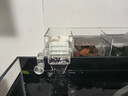 寵小帥魚(yú)缸過(guò)濾器三合一壁掛式水族箱增氧過(guò)濾增氧盒生態(tài)造景循環(huán)凈水器 【四格】過(guò)濾倉(cāng) (適用40-50cm魚(yú)缸) 曬單實(shí)拍圖