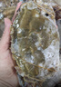梭子蟹鮮活特大野生舟山大螃蟹海鮮新鮮冷凍海蟹水產(chǎn)飛蟹白蟹順豐 7-9兩/只 【凈重5斤特大梭子蟹】 曬單實(shí)拍圖