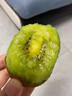 新鮮徐香獼猴桃正宗當季綠心奇異果現摘現發(fā)純甜水果酸甜可口批發(fā) 自家果園30枚裝【單果70-90克】 曬單實(shí)拍圖