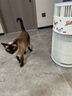 霍尼韋爾（honeywell）貓用寵物空氣凈化器 貓貓搭子h-cat家用吸浮毛過濾過敏原 國家補(bǔ)貼KJ360F-C22W（無喵趣互動(dòng)版） 曬單實(shí)拍圖
