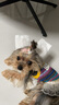 智宙狗狗立耳朵神器寵物小狗犬立耳貼邊牧柯基杜賓耳朵固定輔助豎耳器 曬單實(shí)拍圖