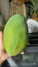 京鮮生 攀枝花凱特芒果 凈重4.5斤 單果600g 水果 源頭直發(fā)【搜生鮮館】 曬單實(shí)拍圖
