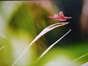 飛利浦27英寸 4K144Hz/288雙模IPS硬件低藍光TypeC65W HDR400 97.8%P3 2000:1設計辦公顯示器27E2N5900RW 曬單實(shí)拍圖