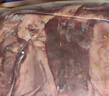 羋羊羊 國產(chǎn)黃牛肉 去芯牛腱子肉3斤 牛肉生鮮 低脂健身 清真源頭直發(fā) 曬單實(shí)拍圖