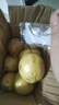 鮮青錄廣西黃金百香果欽蜜9號(hào)新鮮水果黃色白香果西番蓮雞蛋果 凈重1斤（單果60-70g） 曬單實(shí)拍圖