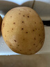 【產(chǎn)地直采】新土豆約500g 曬單實(shí)拍圖