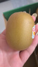 佳沛（zespri）新西蘭 陽光金奇異果12粒禮盒特大果單果約122-146g 獼猴桃 水果 曬單實拍圖