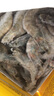 萬(wàn)景 國產(chǎn)大蝦 鹽凍北海白蝦(大號) 80-100只凈重4斤  燒烤聚餐 海鮮 曬單實(shí)拍圖