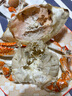 梭子蟹特大活凍野生新鮮大螃蟹大蟹生鮮水產(chǎn)飛蟹大肉蟹 約2.5-3.5兩/只[約8-10只 ]嘗鮮 凈重3斤 曬單實(shí)拍圖
