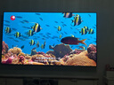 海信電視小墨E5Q Pro85英寸 1248分區U+MiniLED 信芯芯片 抗反光防眩光墨晶屏 300Hz國家補貼85E5Q-PRO 曬單實(shí)拍圖