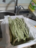 京鮮生山東新鮮白蕓豆凈重1.5斤裝白不老新鮮蔬菜源頭直發(fā)包郵 曬單實(shí)拍圖