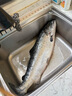 純爾挪威冰鮮三文魚整條(8斤以上)/條 生食刺身 源頭直發(fā)包郵 謝師宴 曬單實拍圖