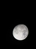 EXPLORE SCIENTIFIC探索科學80EQ3天文望遠鏡大口徑專業(yè)級觀星高清高倍兒童學生禮物 曬單實拍圖