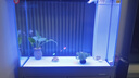 森森（SUNSUN）新款超白魚缸客廳玻璃大型水族箱智能觸控家用免換水底濾缸 超白0.8米35寬 無(wú)極變光+新式底濾 納米灰 曬單實(shí)拍圖