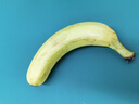 正宗廣西百色自然熟香蕉新鮮水果旺達(dá)口感香甜青蕉發(fā)貨皮薄好吃 田東香蕉1斤（帶箱） 青皮發(fā)貨 曬單實拍圖