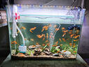 晶普達(dá)全光譜魚缸燈LED防水水族燈智能補(bǔ)光燈魚燈支架調(diào)節(jié) 藍(lán)白光 PIUS款30W-D93【適合90-107cm魚缸 曬單實拍圖