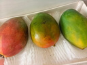 京鮮生 攀枝花凱特芒 凈重8.5斤 帶箱9斤 單果600g+ 生鮮水果 源頭直發(fā) 曬單實(shí)拍圖