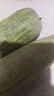 【整箱】羊角蜜甜瓜現摘羊角脆蜜瓜香瓜孕婦新鮮水果整箱批發(fā)價(jià) 5斤優(yōu)質(zhì)款羊角蜜 曬單實(shí)拍圖