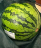 【產(chǎn)地直采】麒麟奶油西瓜 約5.5kg 曬單實(shí)拍圖