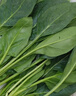 【產(chǎn)地直采】大菠菜300g 曬單實(shí)拍圖