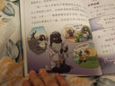 【京東物流 正版包郵】繪本圖書(shū)猴子警長(cháng)探案記6歲+兒童書(shū)偵探懸疑推理小說(shuō)小學(xué)生課外閱讀書(shū)籍漫畫(huà)趣味冒險讀物注音版生日禮物 猴子警長(cháng)全三季【共25本】 曬單實(shí)拍圖