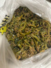 裙帶菜 鮮海帶非干貨海帶嫩苗兒童海菜海白菜海藻菜涼拌 裙帶菜嫩葉250g 曬單實(shí)拍圖