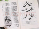 昆蟲記法布爾正版原著完整版 人民文學(xué)出版社全套無刪減 八年級上冊閱讀名著 初二初中生必課外閱讀書籍全集青少年版 昆蟲記 曬單實(shí)拍圖
